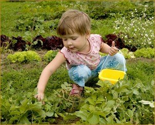 Ребенок и огород