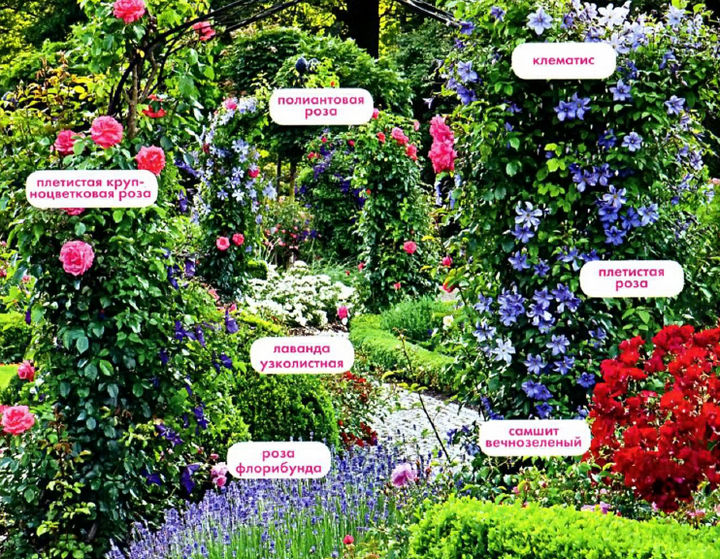 Садовые декорации - вертикаль в саду