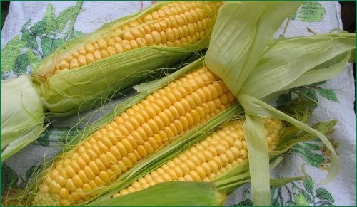 Воздушная кукуруза